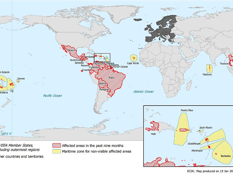Die Karte zeigt rot schraffiert, wo sich das Zika-Virus in den vergangenen neun Monaten innerhalb des jeweiligen Landes ausbreitete - also nicht eingeschleppt wurde.