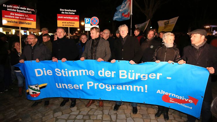 AfD-Prominenz vor dem Magdeburger Dom: Björn Höcke (2.v.l.) und AfD-Landesvorsitzender von Sachsen-Anhalt, Andre Poggenburg (M.).
