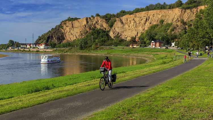 Radfahrer auf dem Elberadweg in Sachsen.