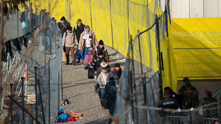 Flüchtlinge laufen in der Nähe von Spielfeld an einem Zaun an der slowenisch-österreichischen Grenze entlang.