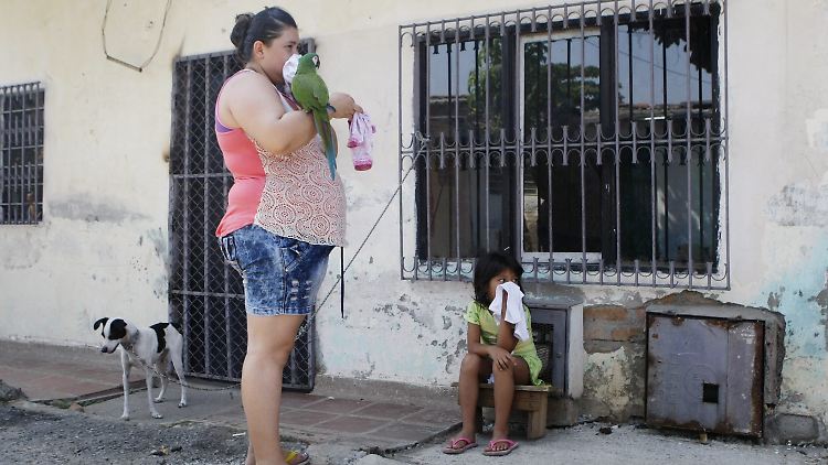 Das Zika-Virus ist vor allem für schwangere Frauen gefährlich. Es soll Fehlbildungen bei Ungeborenen verursachen. 