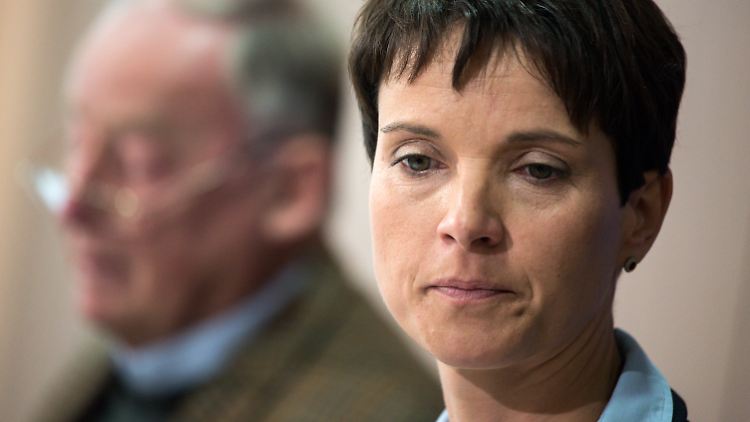 AfD-Vizechef Alexander Gauland attestiert Parteichefin Frauke Petry, einen Fehler gemacht zu haben.