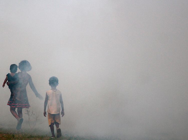 Bekämpfung des Dengue-Fieber-Überträgers im indischen Neu-Delhi: Die Krankheit hat auch Europa erreicht.