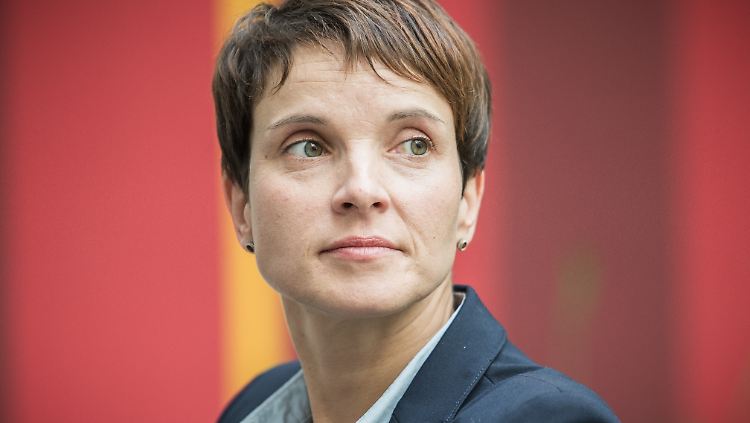 Zunehmend isoliert: AfD-Chefin Frauke Petry muss sich an allen Fronten verteidigen.  