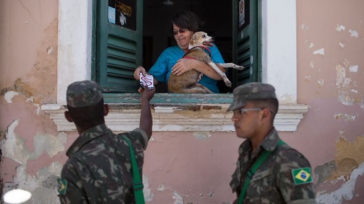 220.000 Soldaten sollen in Brasilien Informationsmaterial zum Zika-Virus verteilen.