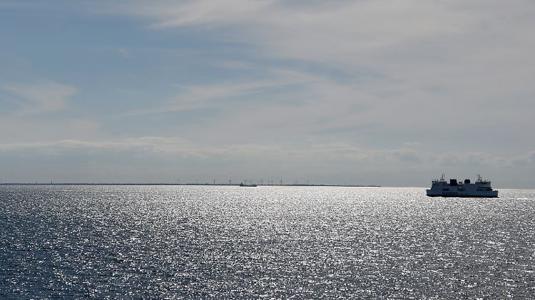 57863264.jpg