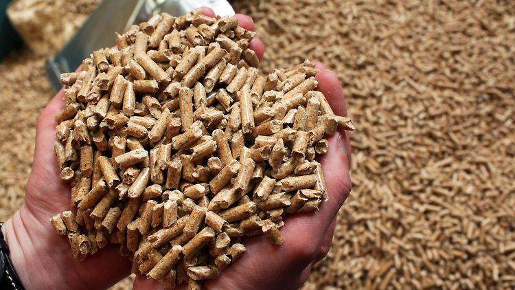 In Wismar werden Holzpellets hergestellt.