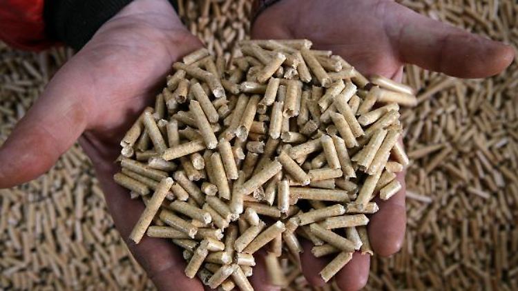 German Pellets hat einen Insolvenzantrag eingereicht.