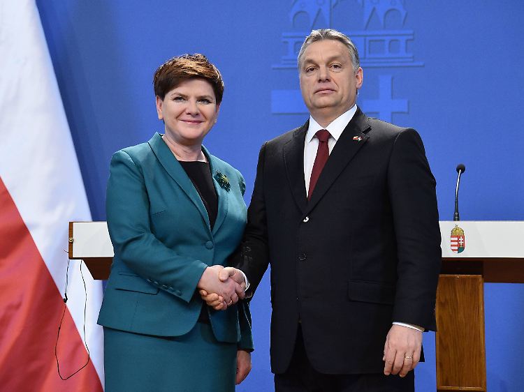 Für den ungarischen Regierungschef Viktor Orban hatte Beata Szydlo bereits Zeit.