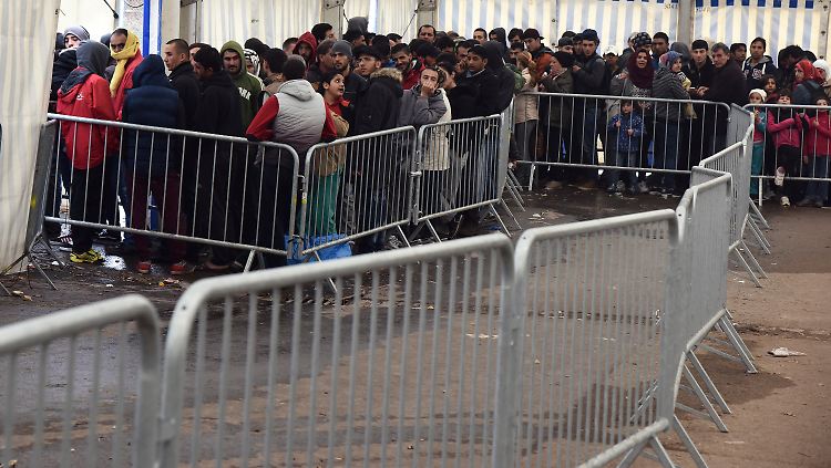 Die Flüchtlinge müssen fair auf alle EU-Mitgliedsstaaten verteilt werden, sind die meisten EU-Bürger der Meinung.