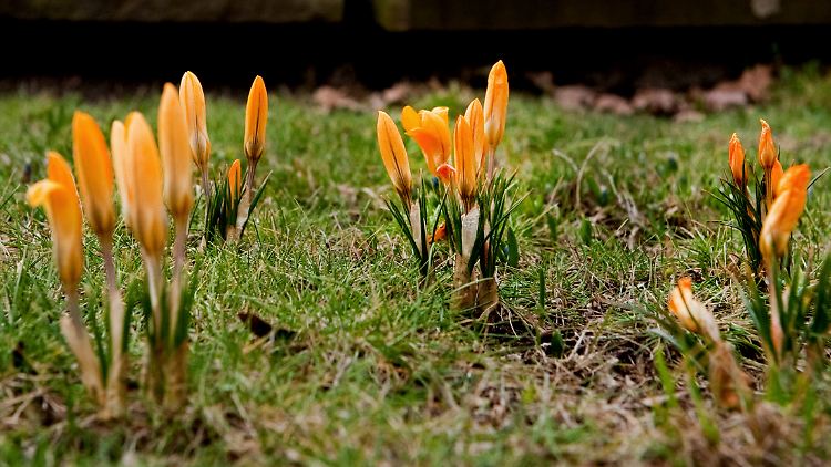 Gibt es ein Frühlingserwachen an den Börsen?