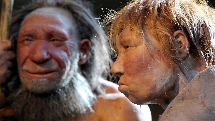 Neandertaler und moderne Menschen hatten schon vor etwa 100.000 Jahren gemeinsame Kinder, haben Forscher des Max-Planck-Instituts herausgefunden.