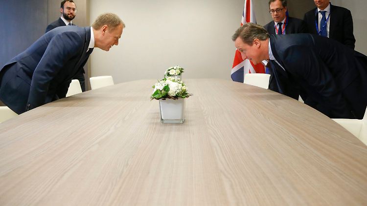 Eigentlich wollen alle verhindern, dass es zu einem "Brexit". Die Frage nur: Um welchen Preis. (Im Bild: Tusk und Cameron) 