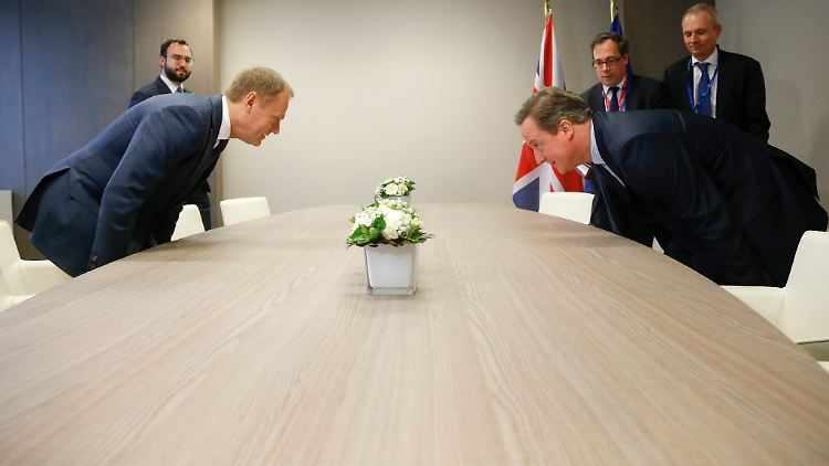 Kann Cameron die Einigung zu Hause als Erfolg verkaufen?