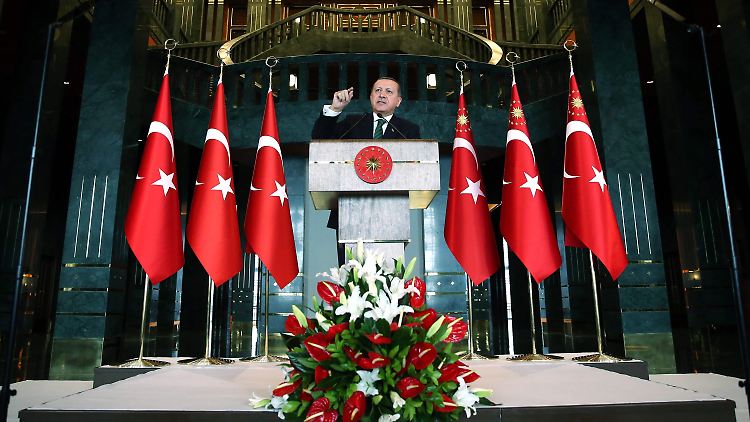 Die Türkei sieht in den syrischen Kurden eine Terrororganisation. 