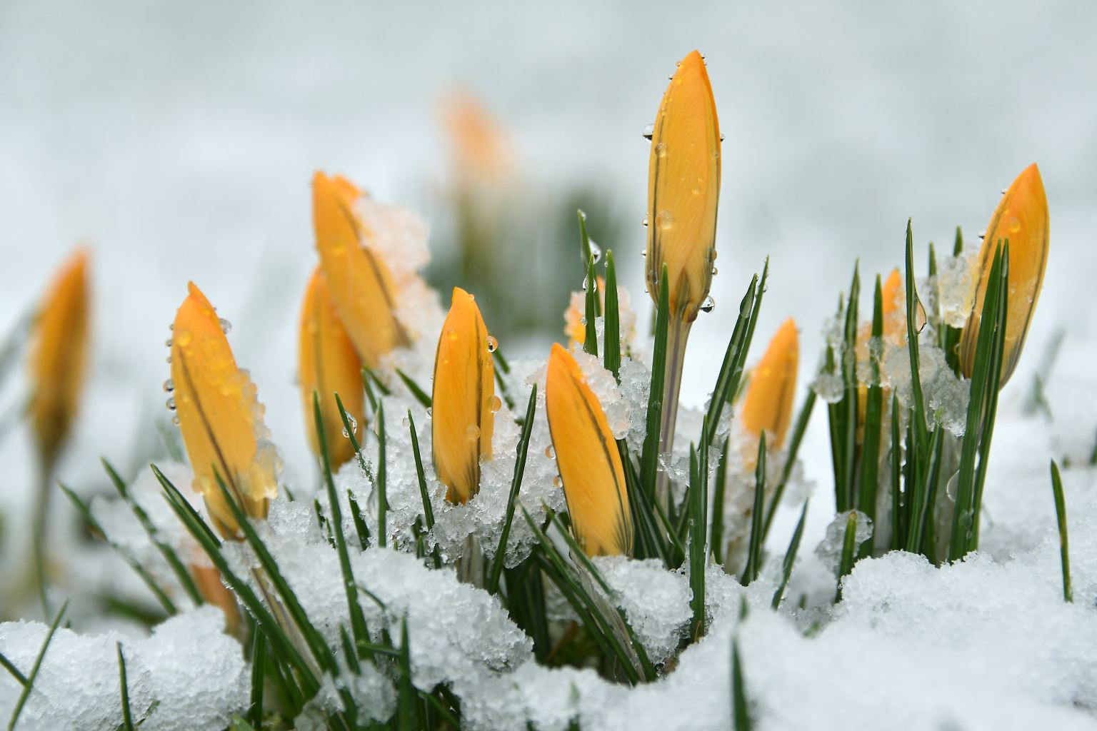 "April, April, der macht, was er will" lautet eine Bauernregel.