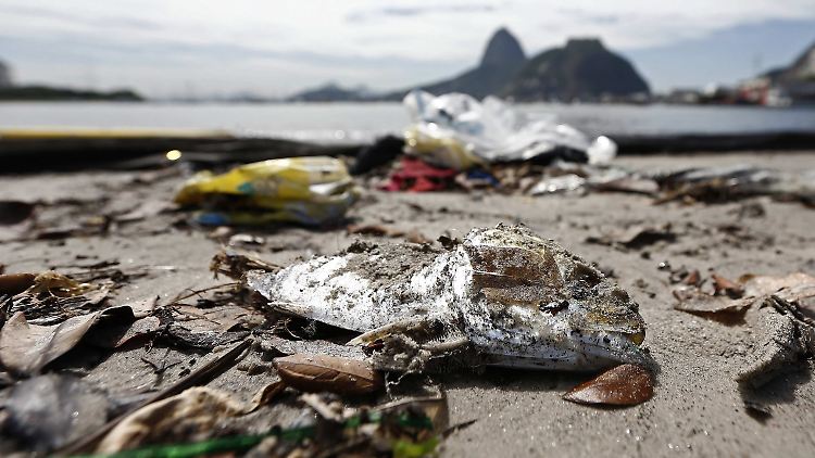 In der Guanabara-Bucht von Rio de Janeiro werden Unmengen an Müll angetrieben.