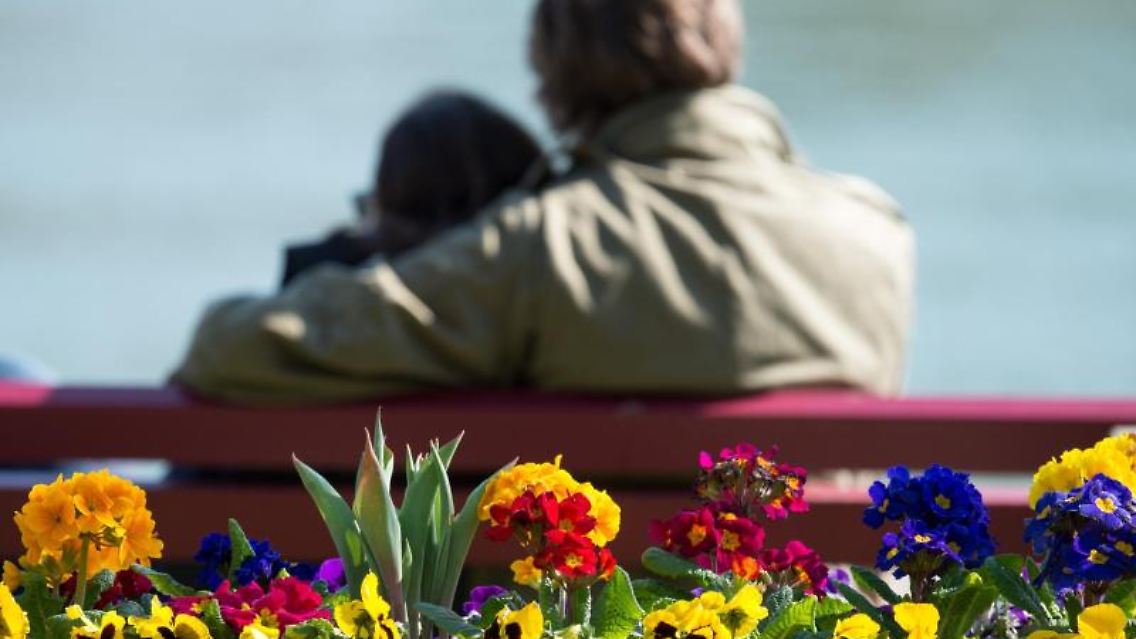 Die Frühlingssonne sorgt für Glücksgefühle. Viele sind nun auch bereit für eine neue Liebe. Foto: Armin Weigel