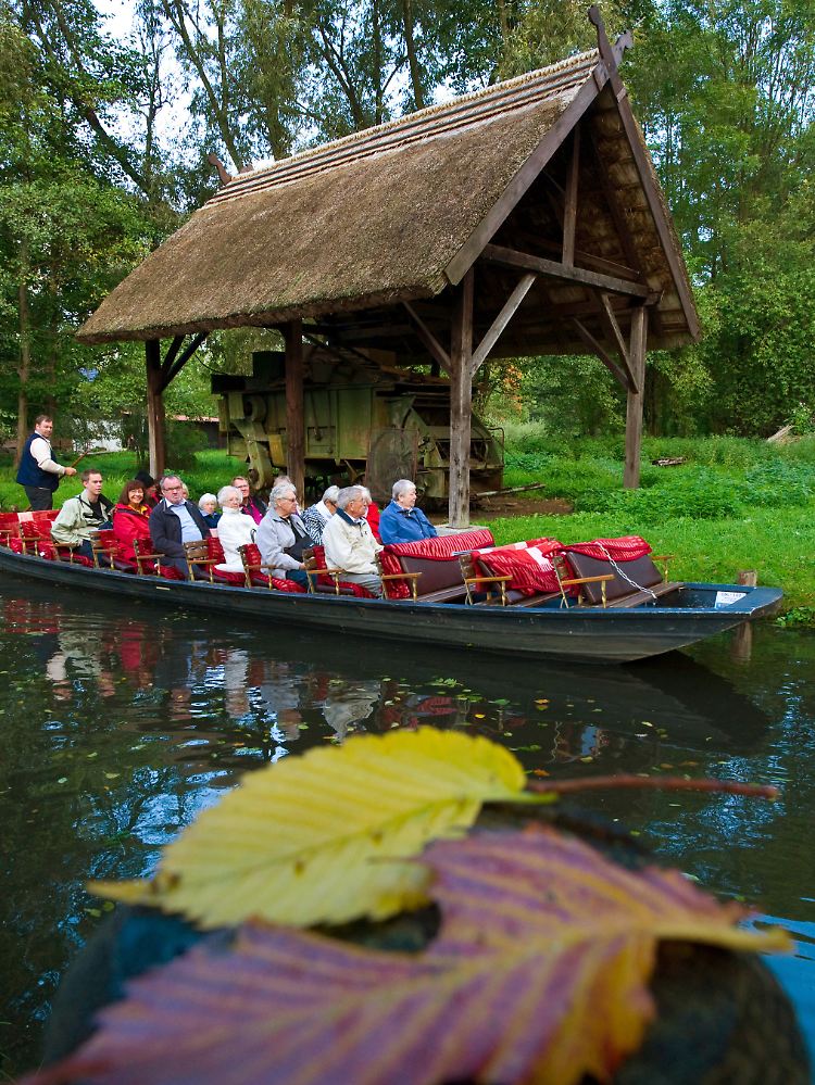 Auch im Herbst schön: Touristen fahren in einem Spreewaldkahn über ein Fließ in Lehde unweit Lübbenau. (Archivbild vom 15. September 2010)