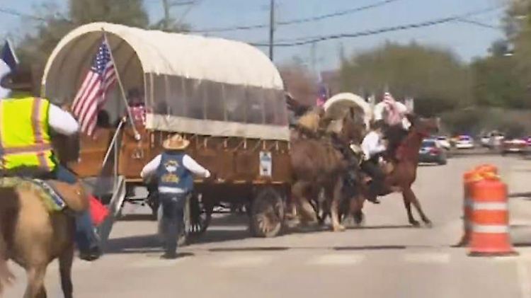 Kutschpferd dreht durch.JPG