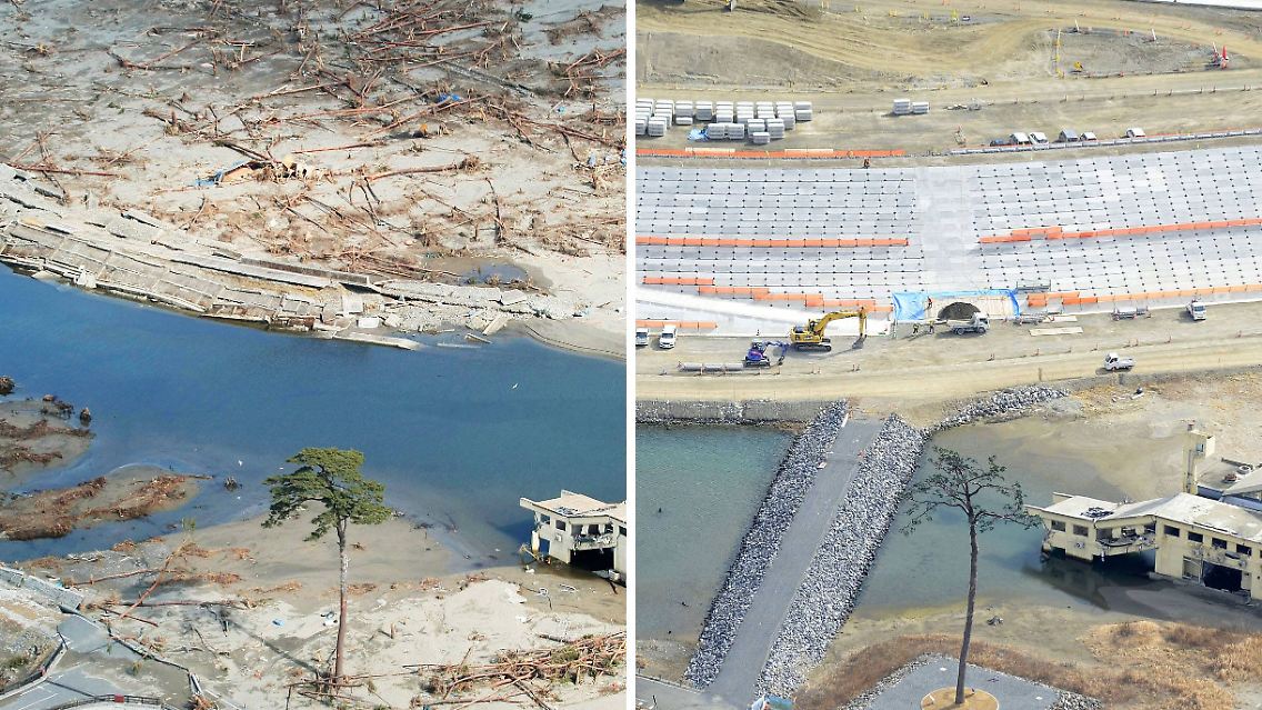 Noch einmal Rikuzentakata: Die Kiefer wurde zum Symbol der Hoffnung. Als einzige von 70.000 Bäumen an einem zwei Kilometer langen Küstenstreifen überlebte die einsame Kiefer von Rikuzentakata die Tsunami-Fluten.