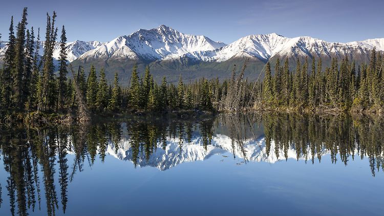 Rund um den Yukon River gibt es eine einzigartige Natur.