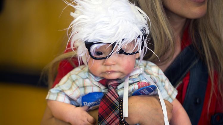 Bernie Sanders in klein - so wurde Oliver Lomas zum Internet-Star.