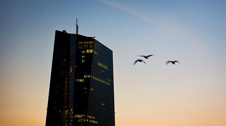 Vögel fliegen am frühen Morgen um das EZB-Gebäude.