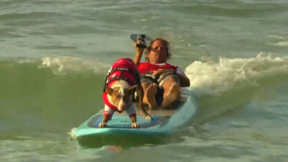 surfen.JPG