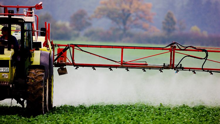 Glyphosat steht im Verdacht, Krebs zu erregen.