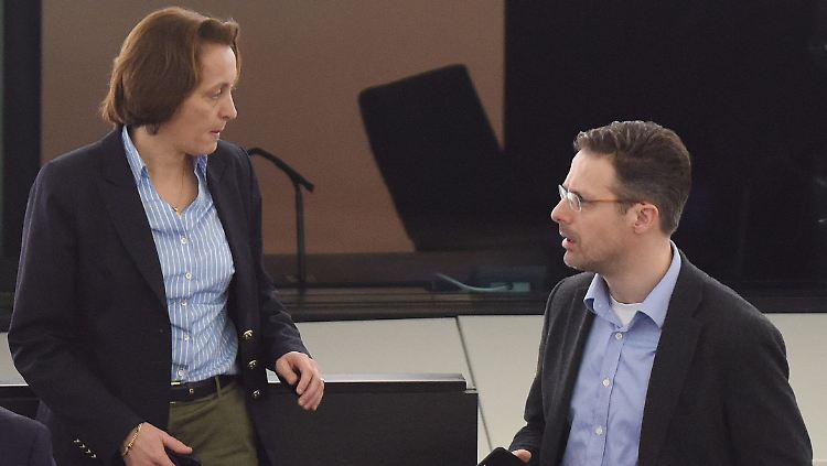 Die letzten verbliebenen AfD-Abgeordneten im Europaparlament: Beatrix von Storch und Marcus Pretzell. Fünf einstige AfD-Mitglieder gehören inzwischen der Alfa an.