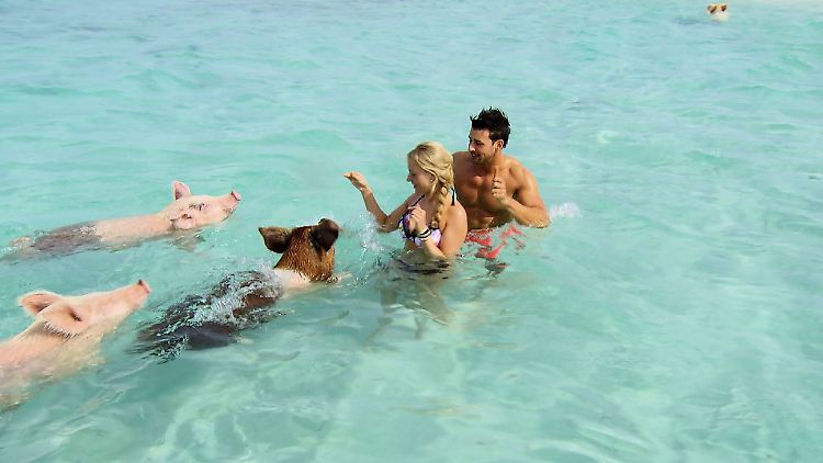 Entspanntes Schweineschwimmen: Leonie und Leonard