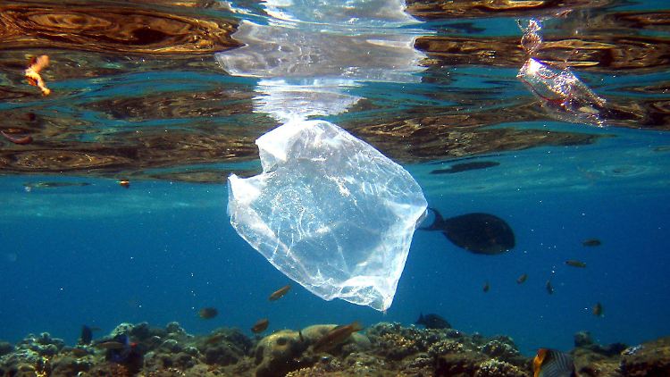 Plastikmüll im Meer: Das Problem könnte mit Hilfe von Bakterien angegangen werden.
