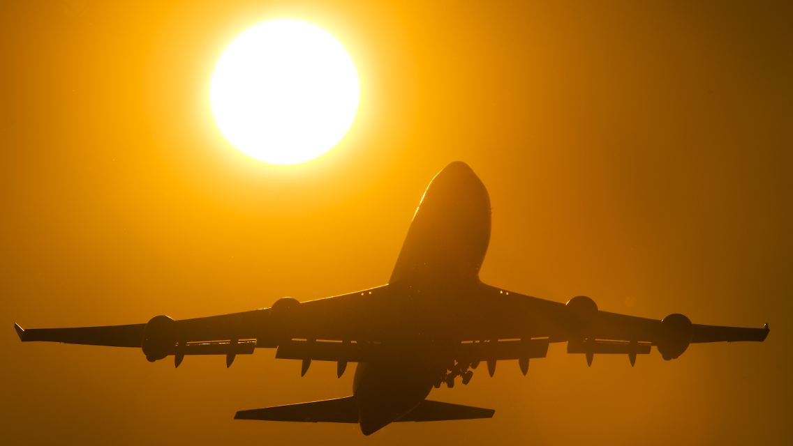 66020806.jpg