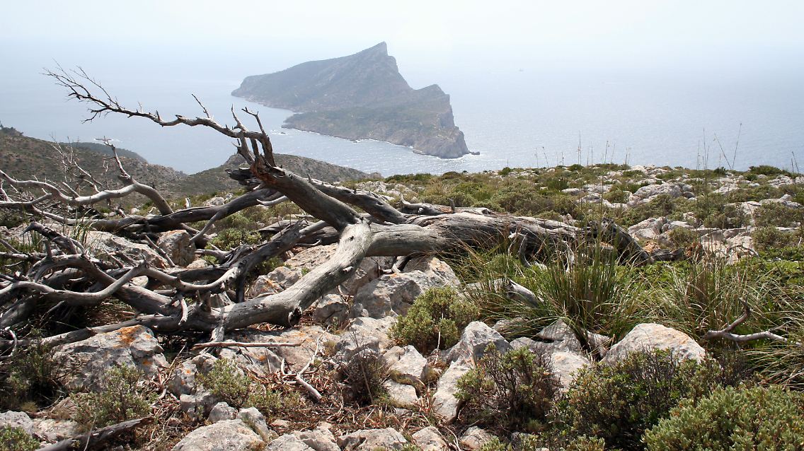Schroffe Schwester: Dragoneras Klippen sind eine Fortsetzung des Tramuntana-Gebirges im Nordwesten Mallorcas.