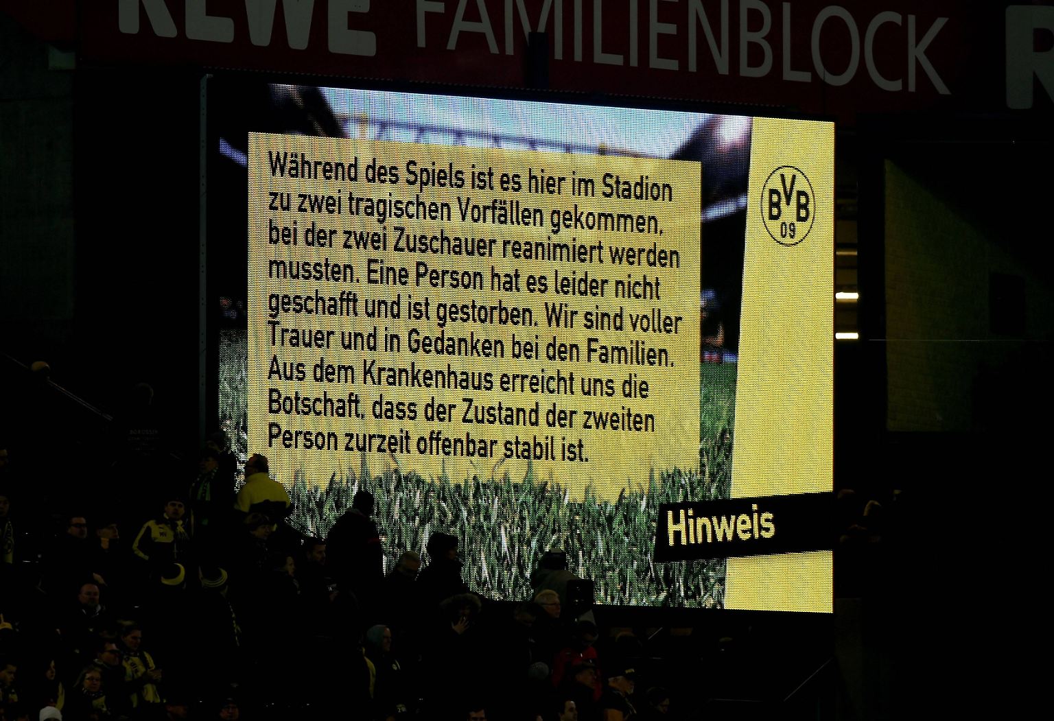 Borussia Dortmund - FSV Mainz 2:0 (1:0)