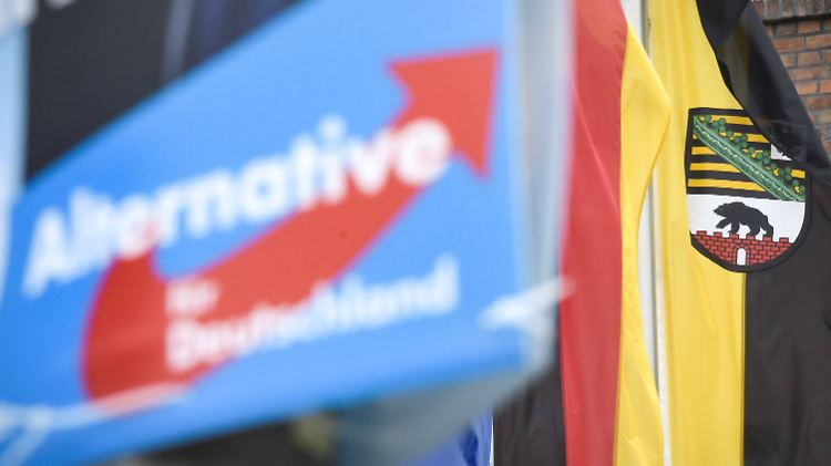 In Sachsen-Anhalt holte die Alternative für Deutschland aus dem Stand fast ein Viertel der Stimmen.