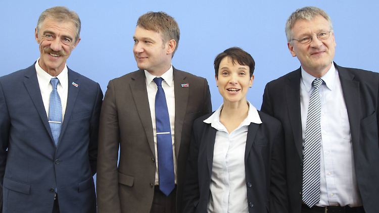 Parteichefin Petry mit den Wahlsiegern aus den Bundesländern.