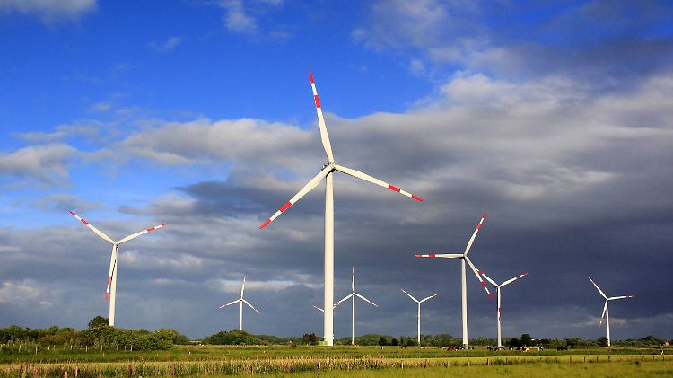 Das weltweite Volumen von nachhaltigen Investments wird bereits auf 77 Milliarden Euro geschätzt.