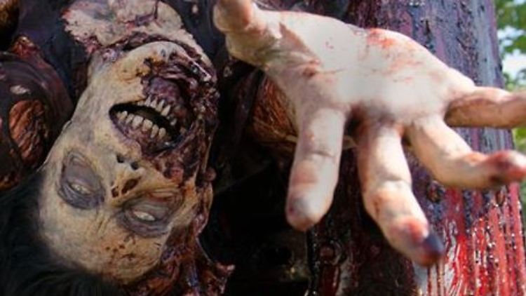Ein Zombie-Biss ist hohe Schauspielkunst - was dabei schiefgehen kann, erzählt "The Walking Dead"-Gaststar Alicia Witt.