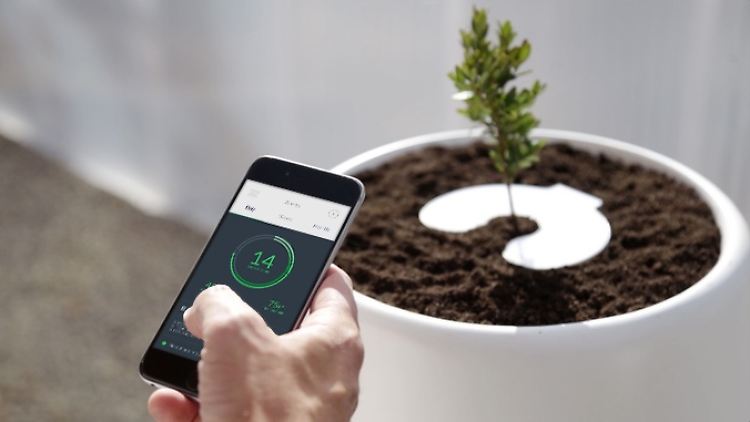 Per App wird das Wachstum der Pflanzen kontrolliert. 