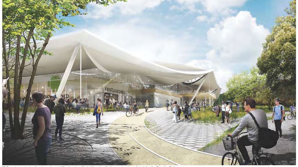 google-campus-7.JPG