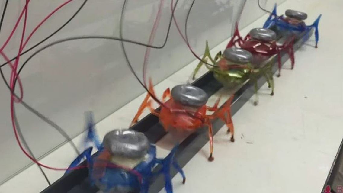 Roboter.JPG