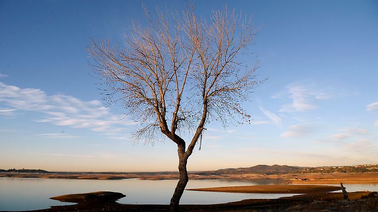 Auch der Folsom Lake in Kalifornien hat viel Wasser verloren und ist stark geschrumpft.