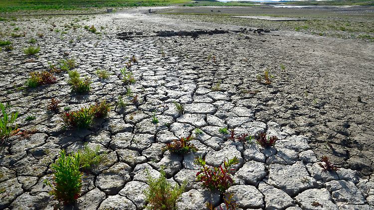 Ausgetrockneter, dürregeplagter Boden: ein Problem vieler Regionen weltweit, das laut WWF noch zunehmen soll.