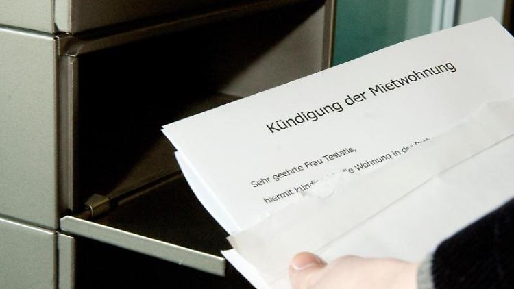 Nicht jede Kündigung von Wohnraum ist zulässig.
