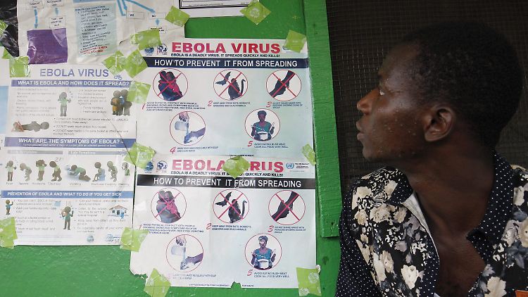 Die Behörden in Guinea hatten gehofft, das Ebola-Virus besiegt zu haben (Archivbild).