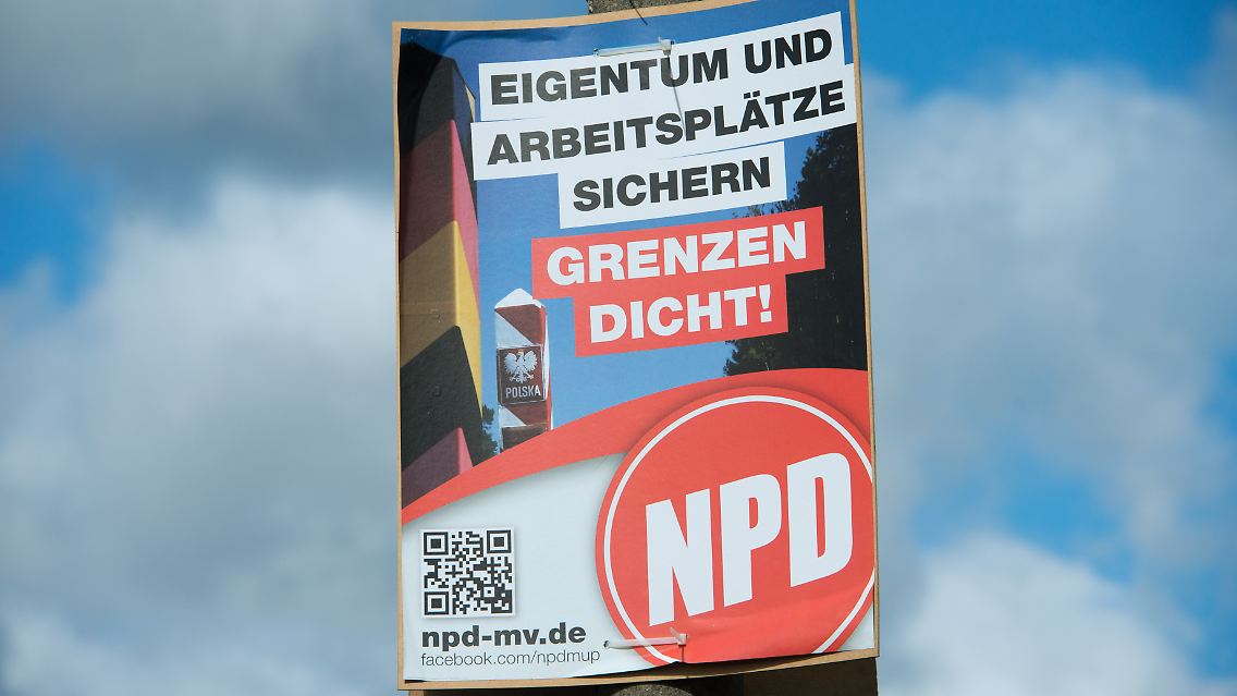 49433253.jpg