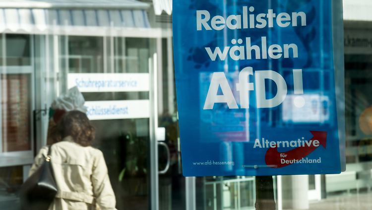 Ein Wahlplakat der AfD in Hessen.