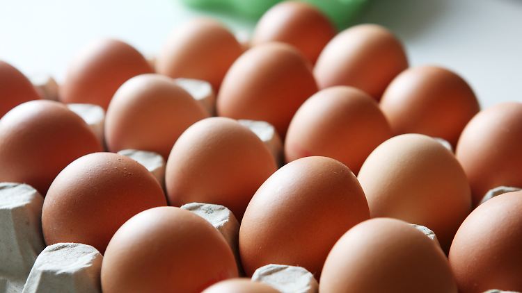 Pro Kopf werden in Deutschland derzeit etwa 232 Eier gegessen.